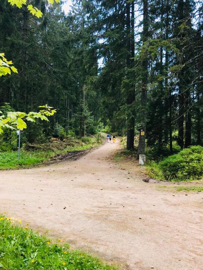 Haus Jenni Im Schwarzwald, 3,5-Zimmer, Grosse Terrasse فرودنستاد المظهر الخارجي الصورة