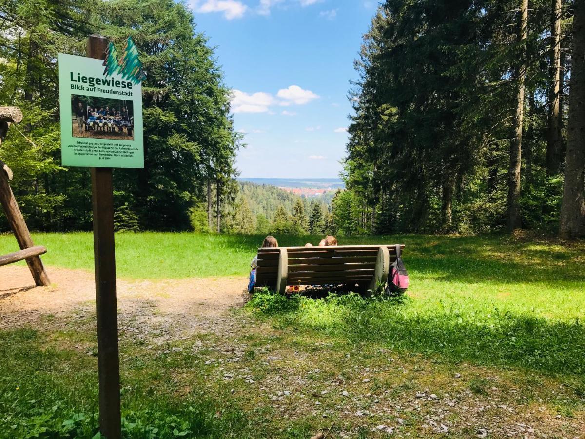 Haus Jenni Im Schwarzwald, 3,5-Zimmer, Grosse Terrasse فرودنستاد المظهر الخارجي الصورة