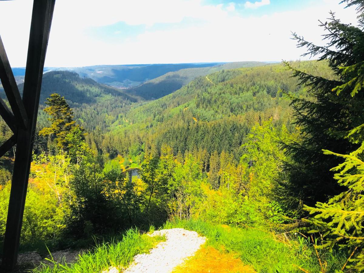 Haus Jenni Im Schwarzwald, 3,5-Zimmer, Grosse Terrasse فرودنستاد المظهر الخارجي الصورة