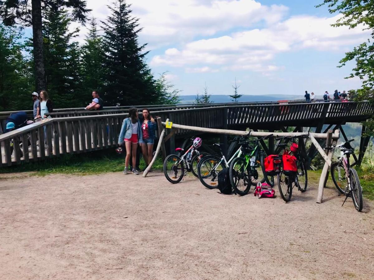 Haus Jenni Im Schwarzwald, 3,5-Zimmer, Grosse Terrasse فرودنستاد المظهر الخارجي الصورة