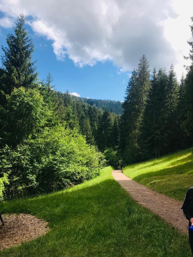 Haus Jenni Im Schwarzwald, 3,5-Zimmer, Grosse Terrasse فرودنستاد المظهر الخارجي الصورة