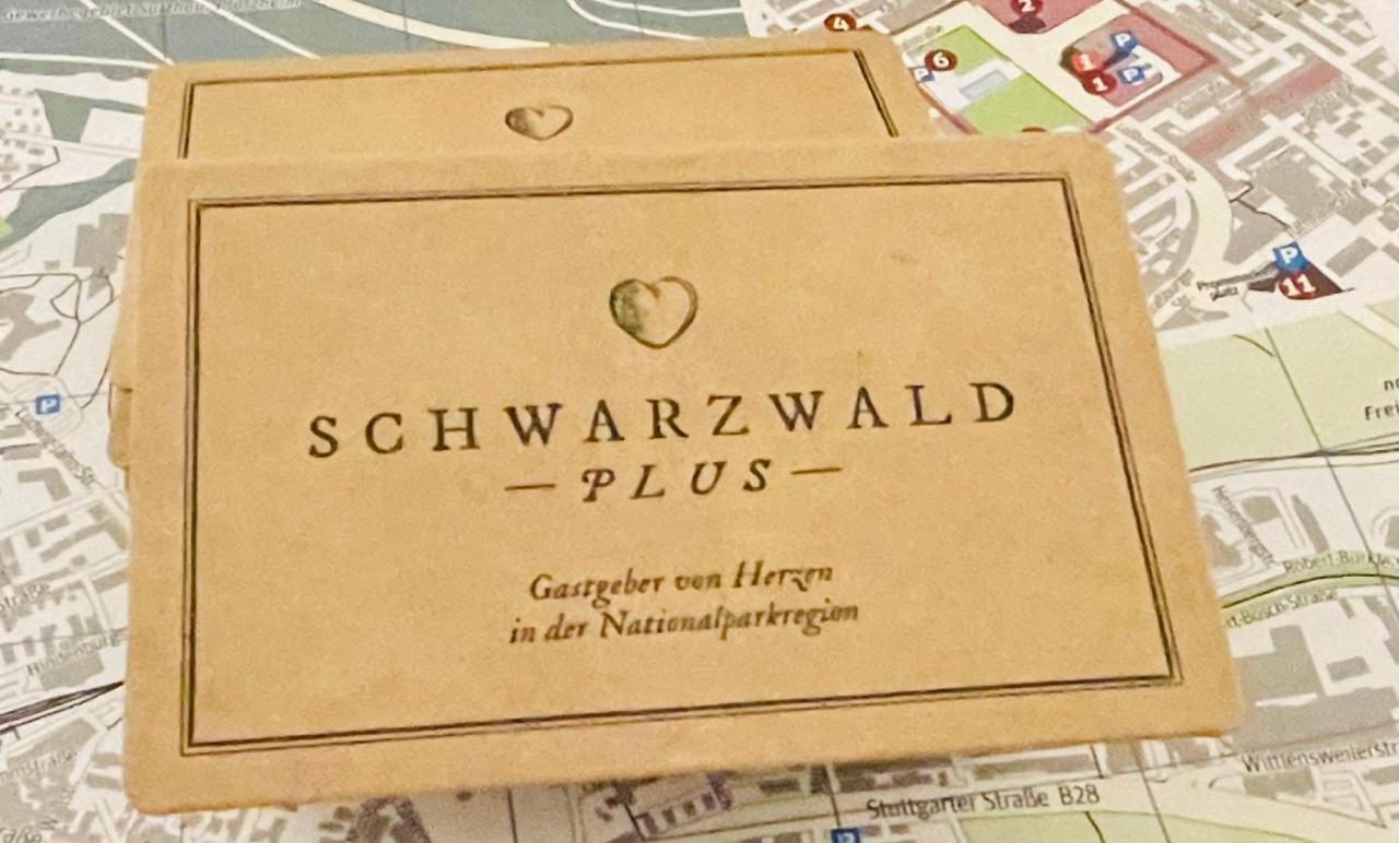 Haus Jenni Im Schwarzwald, 3,5-Zimmer, Grosse Terrasse فرودنستاد المظهر الخارجي الصورة