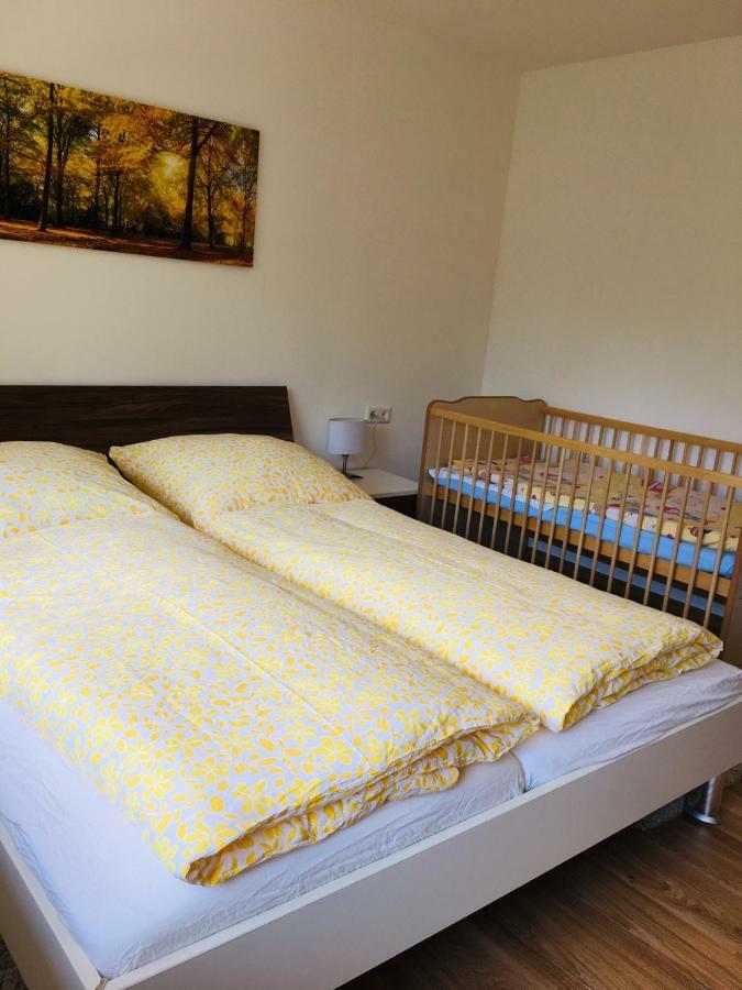 Haus Jenni Im Schwarzwald, 3,5-Zimmer, Grosse Terrasse فرودنستاد المظهر الخارجي الصورة