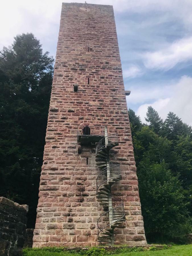 Haus Jenni Im Schwarzwald, 3,5-Zimmer, Grosse Terrasse فرودنستاد المظهر الخارجي الصورة