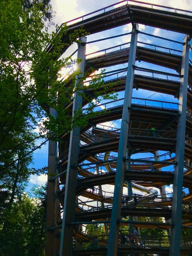 Haus Jenni Im Schwarzwald, 3,5-Zimmer, Grosse Terrasse فرودنستاد المظهر الخارجي الصورة